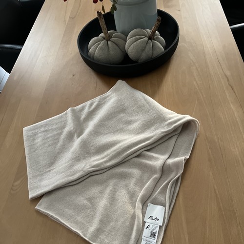 Allude scarf shawl cashmere - allude,